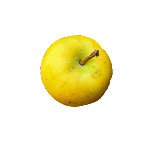 Drink Apple Sticker by Buskey Cider