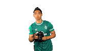 Park Sticker by SV Werder Bremen