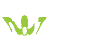 sneakers swipe up Sticker by shoephoric