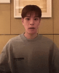 Stray Kids Skz GIF