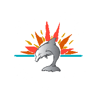 Cape Coral Florida Sticker by Wicked Dolphin