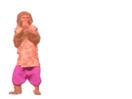 Fun Monkey Sticker