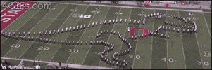 Football Dinosaur GIF