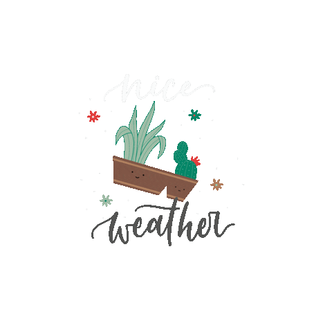 Lettersbynana cactus happy day succulent nice weather Sticker