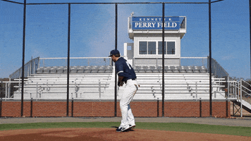 vwu_marlins marlins vwu wethebeach virginiawesleyan GIF