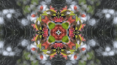 Art Love GIF by jorgemariozuleta