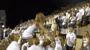 usu GIF by Utah State University