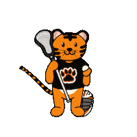 College Sports Sticker by Rochester Institute of Technology