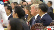zheng zhi GIF