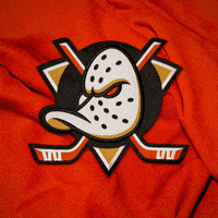 Orange County GIF by Anaheim Ducks