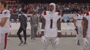 Football Nfl GIF by New England Patriots
