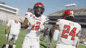 Texas Tech GIF by Texas Tech Football