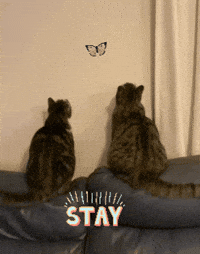 You Can Do It Waiting GIF