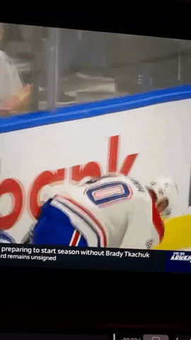 1a2b3c1z2x3y giphygifmaker habs canadiens montreal canadiens GIF