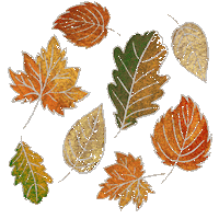 Fall Orange Sticker by wwwe GmbH