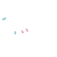 Wedding Nail Polish Sticker by ProNails_HQ