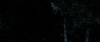 GIF by Crouching Tiger, Hidden Dragon 
