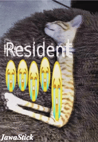 Cat Cry GIF