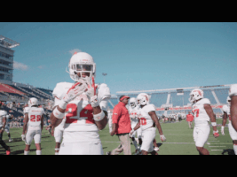 florida atlantic fau football GIF by FAU Athletics
