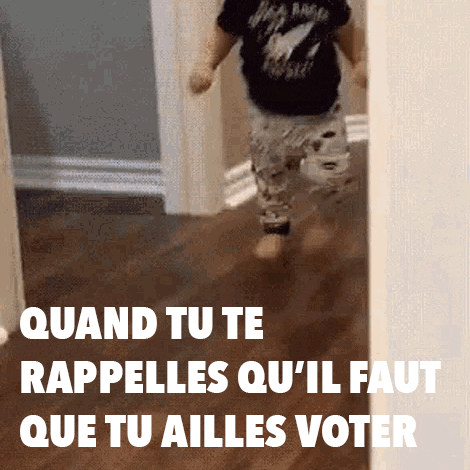 Parti_socialiste baby vote election elections GIF