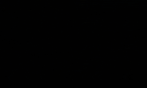 Motorcycles GIF by Gotham Ducati Desmo Owners Club