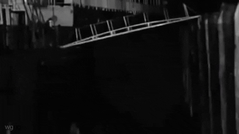 ambiguityfarm giphyupload GIF