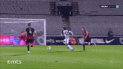 Partizan GIF by sportmts