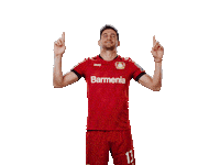 Swipe Up Bayer 04 Sticker by Bayer 04 Leverkusen
