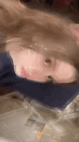 flashiro giphyupload GIF