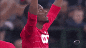 Coyr Omg GIF by Standard de Liège
