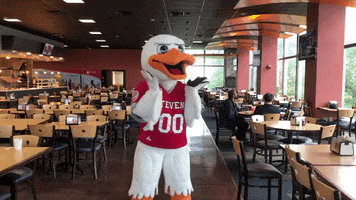 FollowStevens reaction happy excited duck GIF