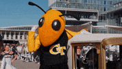 Georgia Tech Sport GIF by Georgia Tech Yellow Jackets