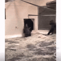 Walking In Whats Up GIF by HKRealty