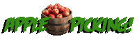 Apple Pie Apples Sticker