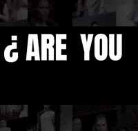 Concurso Modelos GIF by EgoModa