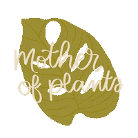 Plant Leaf Sticker