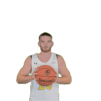 Mens Basketball Sticker by Clarke University