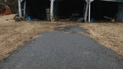 Demolition GIF by JC Property Professionals
