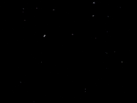 Mumbai Indians King GIF