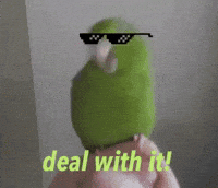 Bird Deal With It GIF by MOODMAN