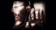 Face Canada GIF by Alex Boya