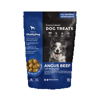 FoleyDogTreatCompany dogtreat foleydog vitalitydog Sticker