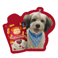 Happy Peanut Butter Sticker by Awesome Pawsome Treats