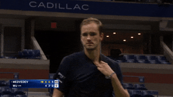 Medvedev Takes A Moment To Adjust