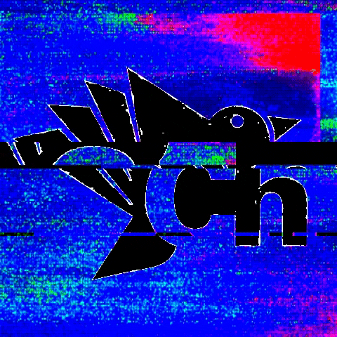 ChampeAgency champe champeagency champecreativeagency GIF