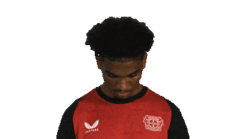 Look Up Bayer Leverkusen Sticker by Bundesliga