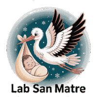 Ultrassom Medicinafetal Sticker by labsanmatre