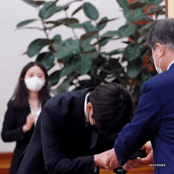 ddalggi giphyupload GIF