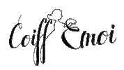 Svizzera Parrucchiere Sticker by Coiffemoich