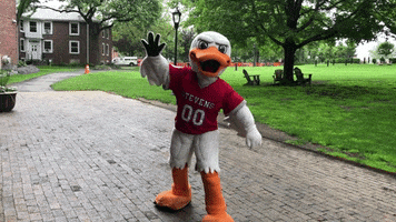 FollowStevens high five duck same myself GIF